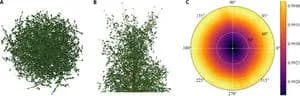 Forest Canopy Structure Critically Impacts Thermal Remote Sensing for Climate Insights